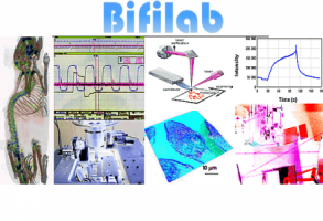 Bifilab Moodle